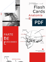 Flash Cards Anatomía II 