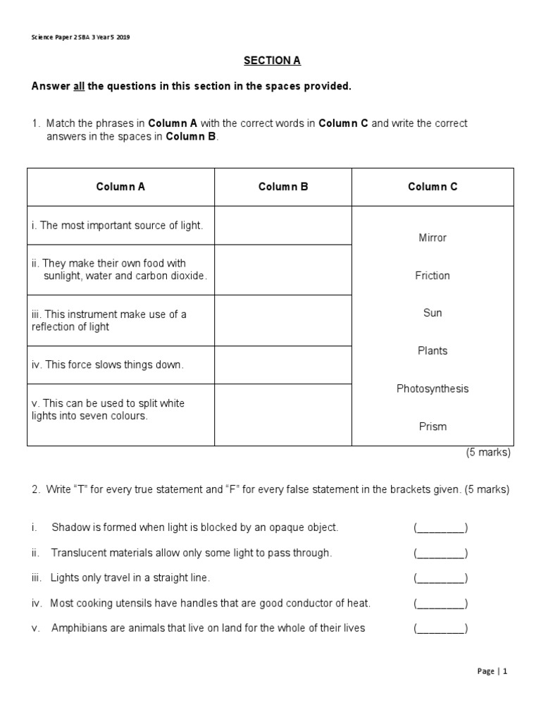 Year 5 Science Exam Paper 2019 | PDF | Light | Water