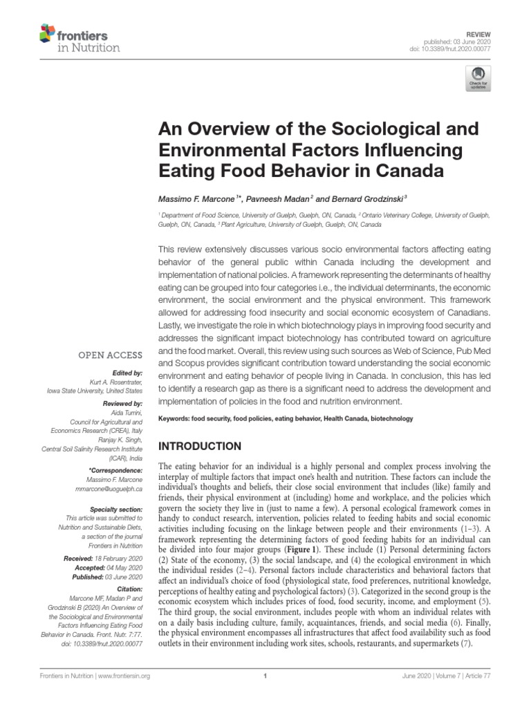 Picture of An Overview of The Sociological and Environmental Factors Influencing ...