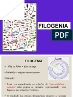 Aula 10 - Filogenia