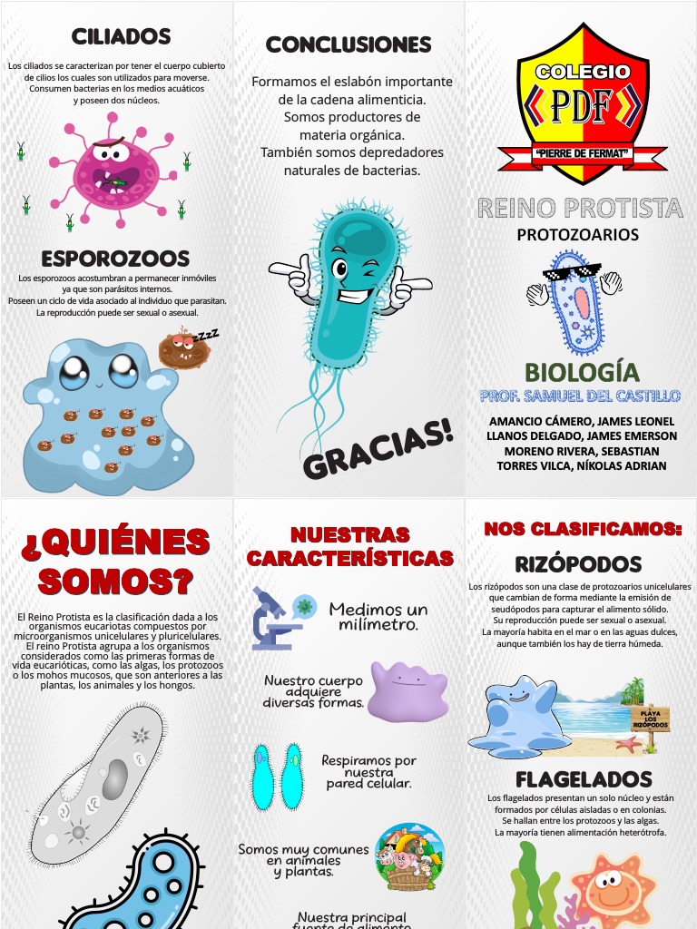 Tríptico Biología | PDF | Protozoos | Algas