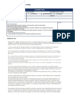 Formato Examen Final Editable