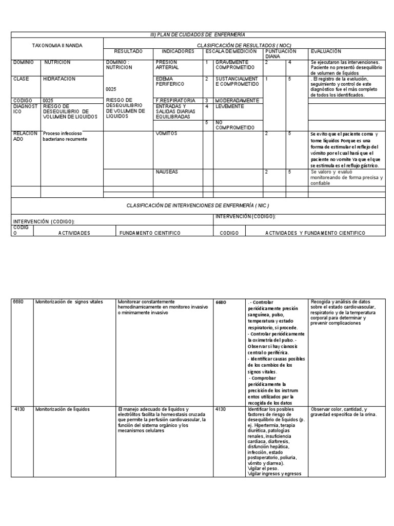 Formato Plan de Cuidados | Download Free PDF | Electrólito | Vómitos