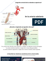 ¿Dónde Se Origina La Irrigación Arterial de Los Miembros Superiores