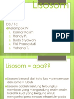 Lisosom - Copy