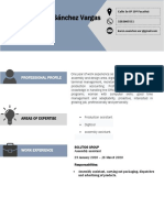 ING - Curriculum Vitae Format