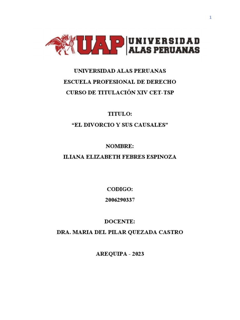 ENSAYO DIVORCIO PDF Divorcio Matrimonio