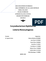 Corynebacterium Final