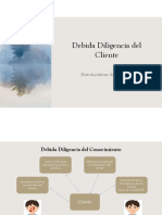 Debida Diligencia Del Cliente