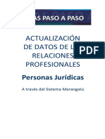 Guías Paso A Paso - Actualización Relaciones Profesionales - Personas Jurídicas