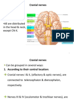 Handout Cranial Nerves