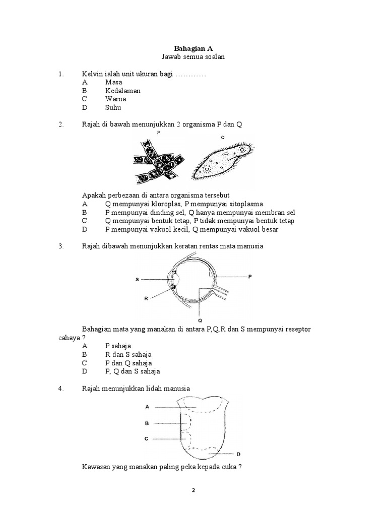 Soalan Awal Tahun Tingkatan 3 Pdf