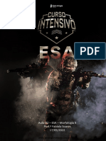 Aula 02 - Português - ESA - Intensivo