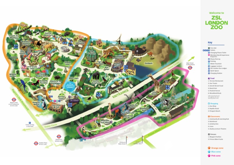 London Zoo Visitor Map and Guide | PDF
