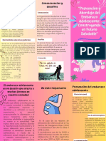 Prevención y Abordaje Del Embarazo Adolescente: Construyendo Un Futuro Saludable