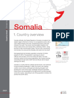 RCCC ICRC Country Profiles Somalia