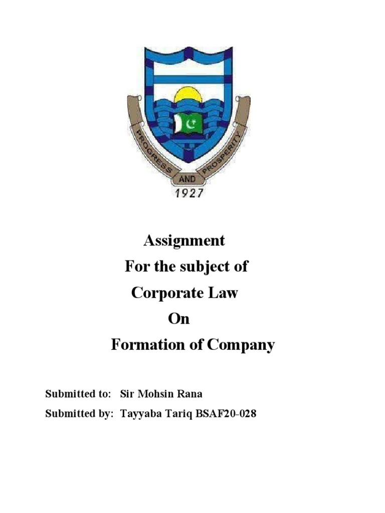 formation of company assignment pdf