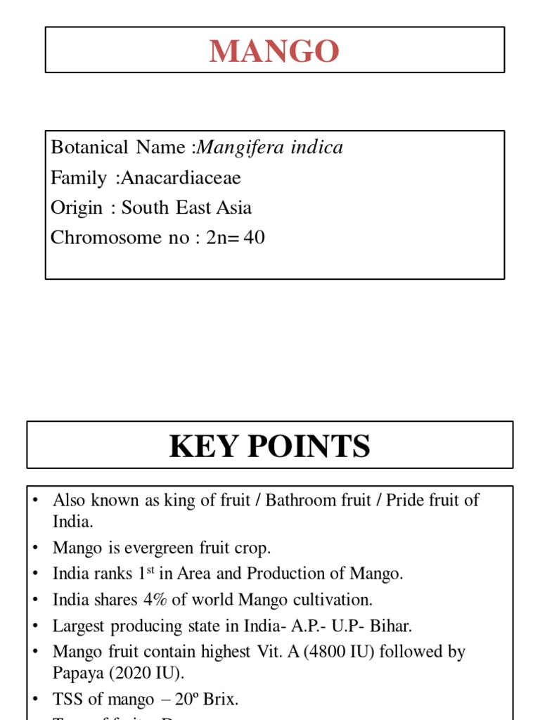 Mango Varieties and Cultivation Guide | PDF | Mango | Trees