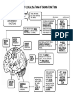 Localisation of Brain Function