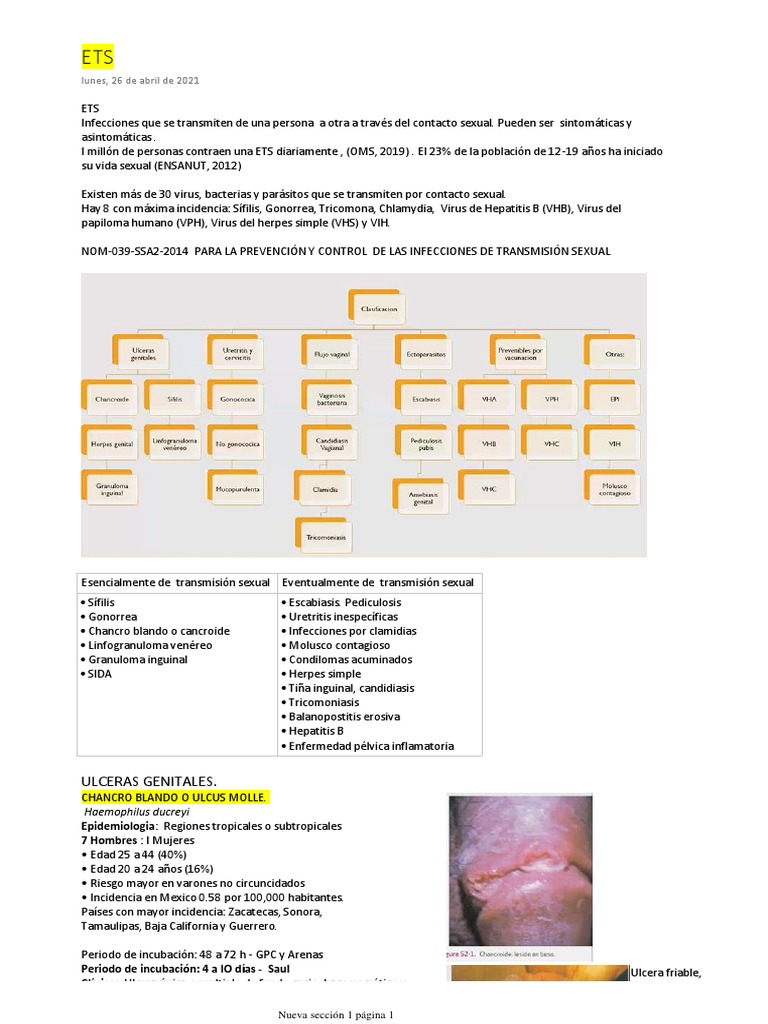 Guía Completa sobre ETS y Tratamientos | PDF | Infección transmitida ...