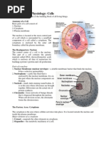 Bitplane Imaris V7 2 3 Cracked Vertebrae