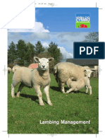 Lambing Management