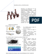 Desarrollo de La Investigacion Semana 5