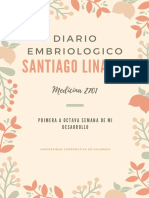 Diario Embriologico Final