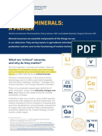 Critical Minerals Primer en WEB