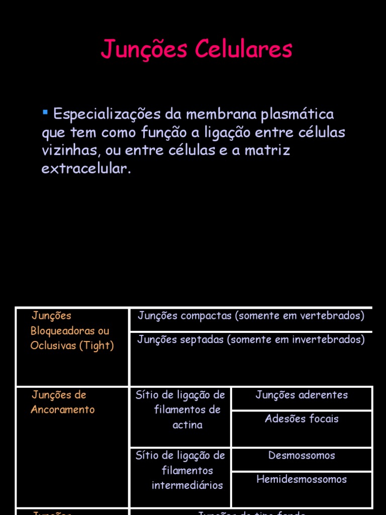 Tipos de Junções Celulares e Funções | PDF | Ciências e Matemática