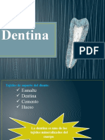 Dentina