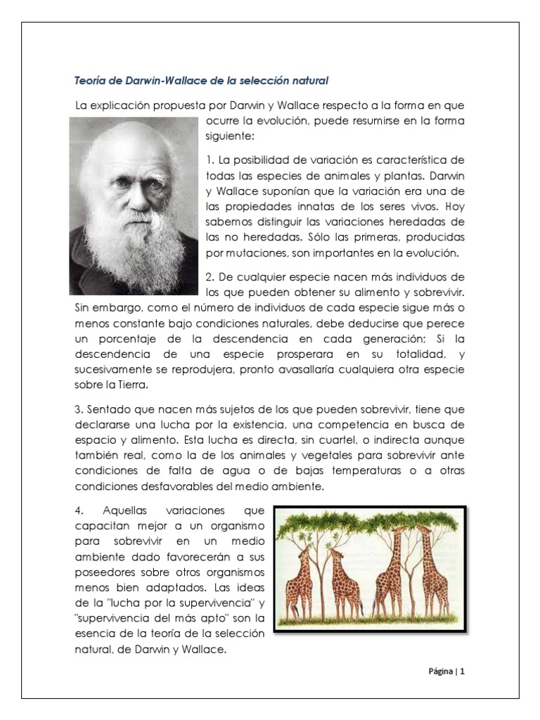 Teoría de la Selección Natural de Darwin-Wallace | PDF | Seleccion ...