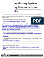 Heart Worksheet