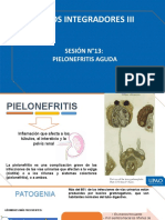 Documento PDF