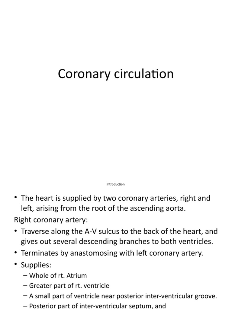 Coronary Circulation | PDF | Coronary Circulation | Heart
