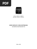 WEB SERVICE Com NetBeans - RauThu(How to)_Alpha 0.0.6
