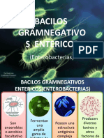 Microbiologia Exposición