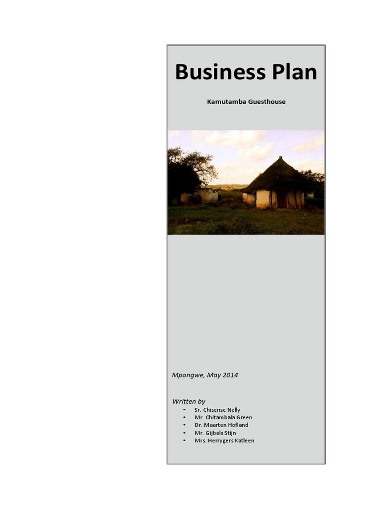 Business Plan PDF Pricing Hospital