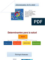 Factores Determinantes de La Salud