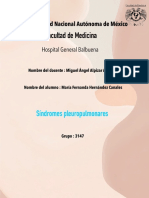 Sindromes Pleuropulmonares - Hernandez Canales Maria Fernanda.3147