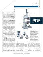 Il Microscopio Ottico