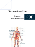 Sistema Circulatorio