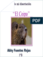 El Coipo