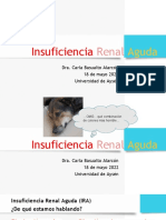 Clase 19.insuficiencia Renal Aguda.18may22