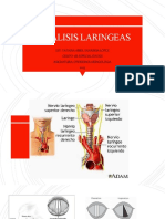 Paralisis Laringeas