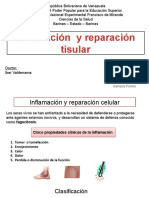 IV Inflamacion y Reparacion Tisular