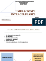 III Acumulaciones Intracelulares