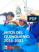 Hitos Quinquenio 2016 Al 2021 Peru