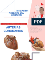 4 - Zonas de Irrigación