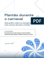 Guia Pratico Plantao Carnaval